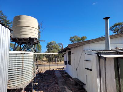 26 CRYSTAL STREET, Willows
