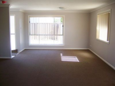Lurnea