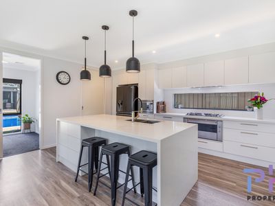 13 Buxton Street, Jackass Flat