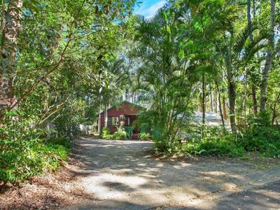 11 Rainforest Court, Boreen Point
