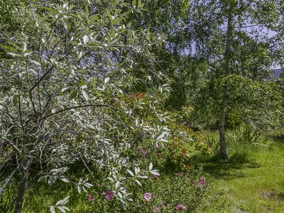 242 Woolleys Road, Lonnavale