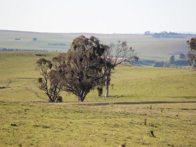 312 Bosworth Falls Road, O'connell