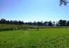 Lot 42, 46 Forest Road, Orange