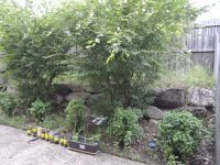 66 / 88 Bleasby Road, Eight Mile Plains