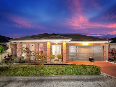 50 Hal Porter Terrace, Lynbrook