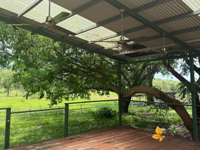 1355(b) Leonino Road, Darwin River