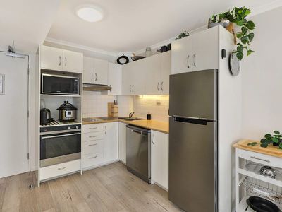 455 / 180 Alexandra Parade, Alexandra Headland