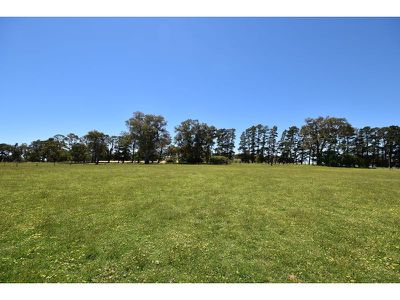 Lot 141 Watts Gully Road, Forreston