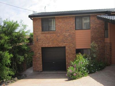 Mount Warrigal