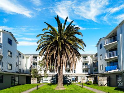 C17 / 13 Palm Grove, Berhampore