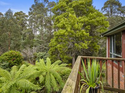 32 McClyments Road, Raminea