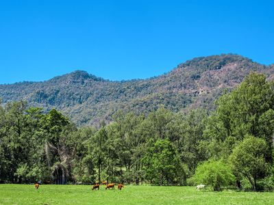 975 Green Pigeon Road, Green Pigeon Via, Kyogle