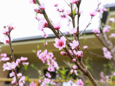 29 Coogee Avenue, The Entrance North