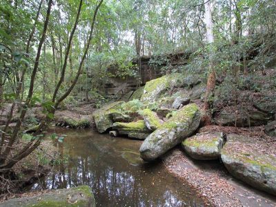 166a Bendeela Rd, Kangaroo Valley