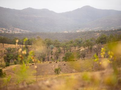 43 Berlin Road, Mount Berryman