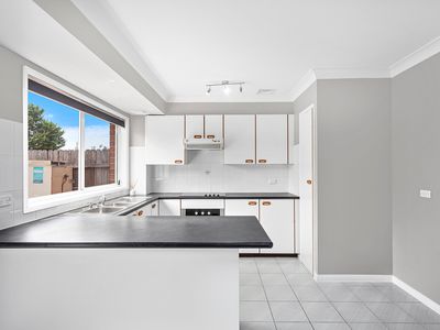 8 / 5 Commerce Drive, Lake Illawarra