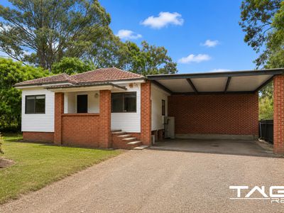 294 Palmyra Avenue, Shanes Park