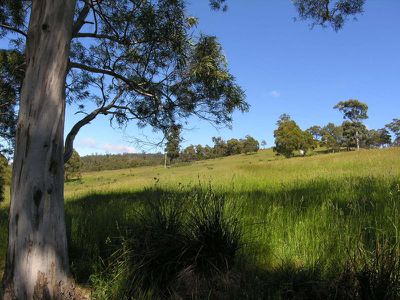 Lot 8 Scenic Hill Road, Huonville