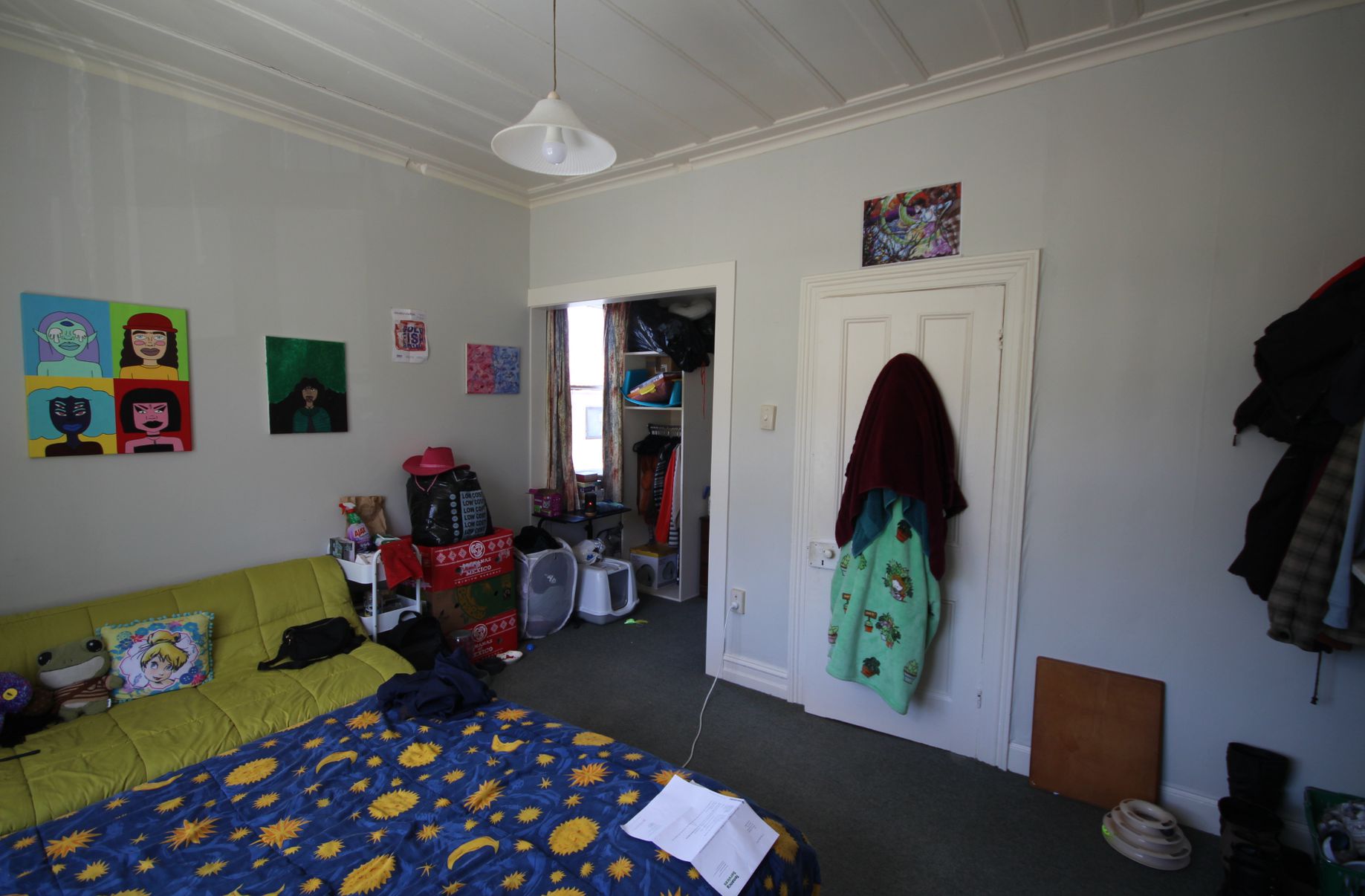 185 Carroll Street, Dunedin Central