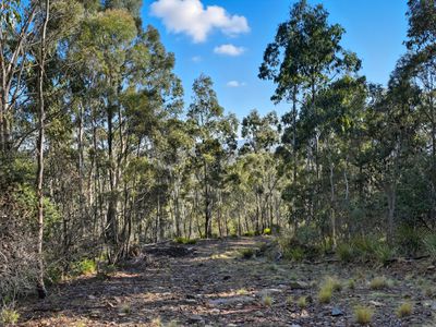 123 Lake View Road, Lake Leake