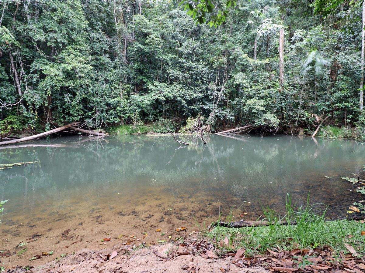 Danbulla