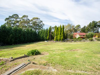 1 Pine Tree Avenue, Grindelwald
