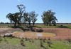 366 Mercadool Lane, Bogan Gate