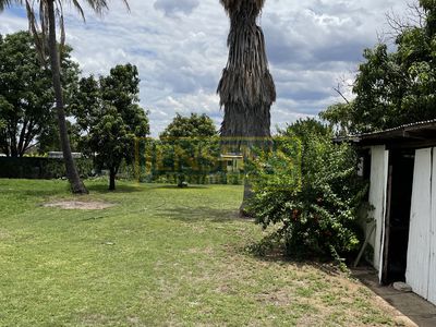 37 Paterson Street, Pentland