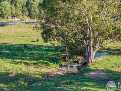 5644 Tweed Valley Way, Crabbes Creek