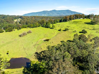 233 WAGONGA SCENIC DRIVE, Narooma
