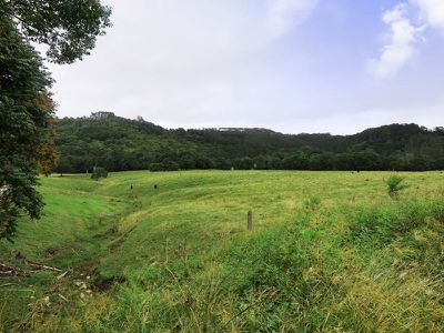 154 Tuntable Creek Road, The Channon