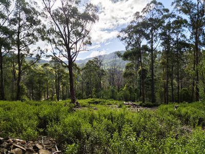 Lot 2, Off Paddys Lane, Franklin
