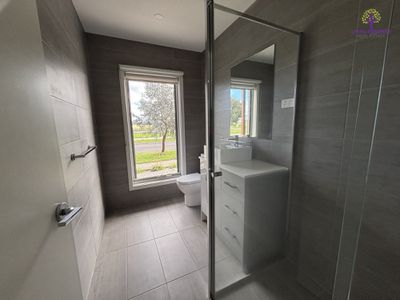 31 Ambersweet Drive, Tarneit