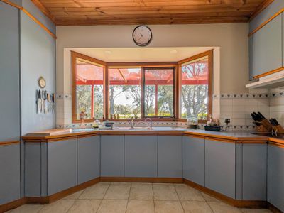 207 Dip Road, Wandella