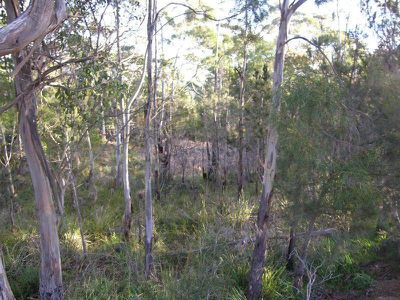 6080 Channel Highway, Garden Island Creek