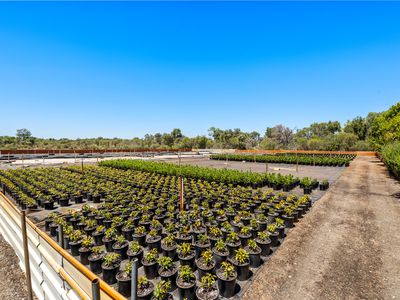 37 Landgren Road, Casuarina