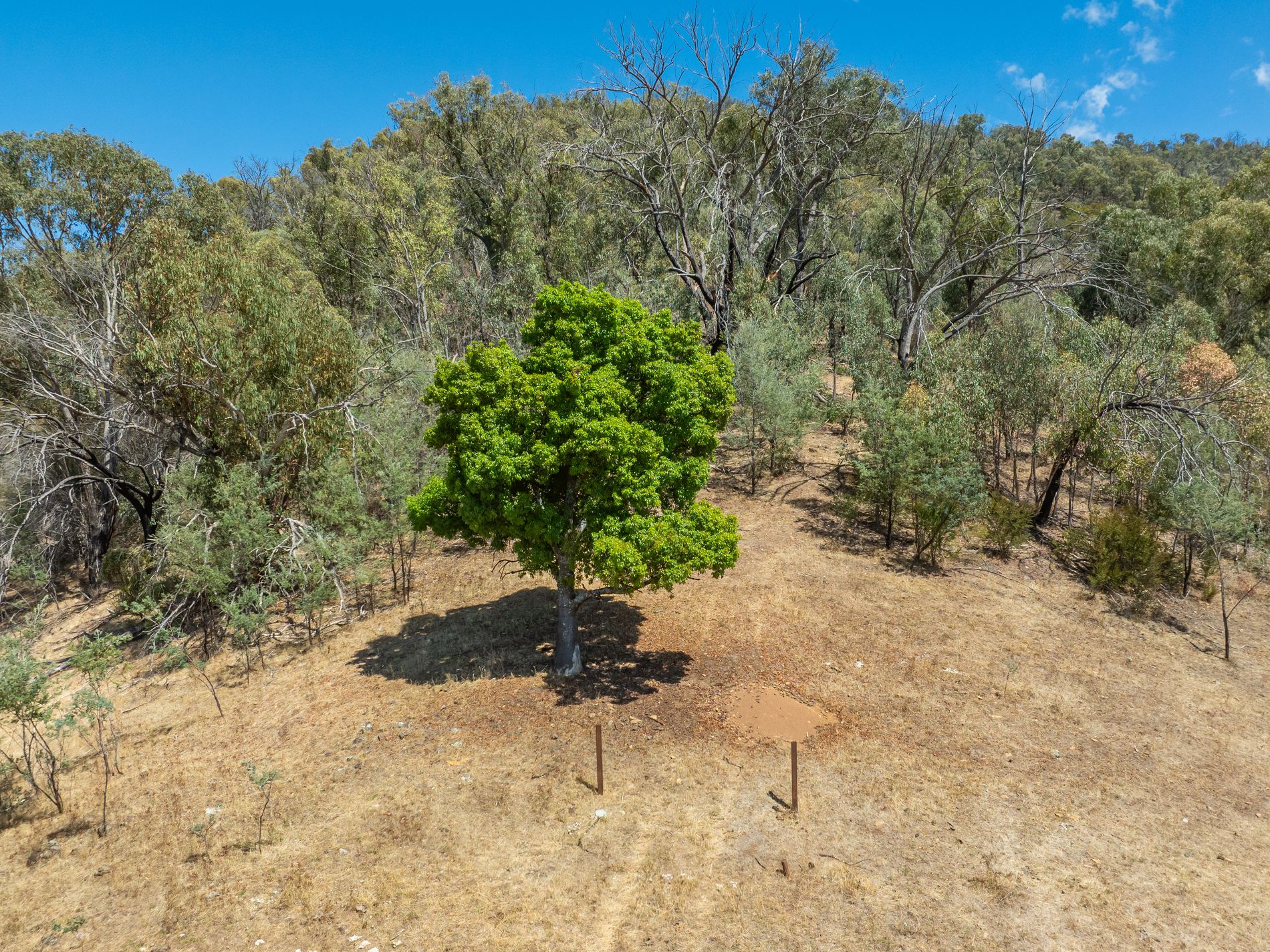 Lot 2 Shelley Road, Walwa