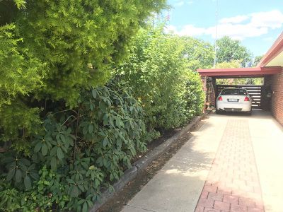 41 Niemur Street, Barham