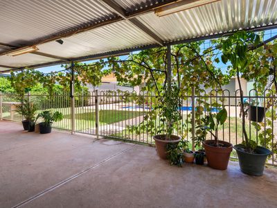 56 Hopkins Street, South Boulder