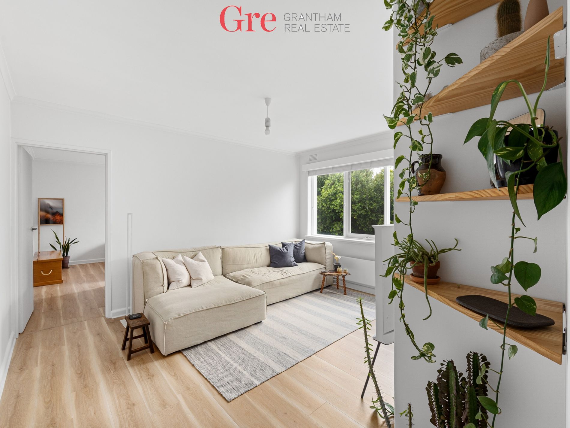 Ascot Vale Grantham Real Estate