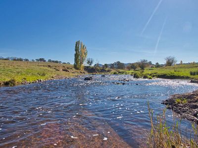 205 Piries-Goughs Bay Road, Piries