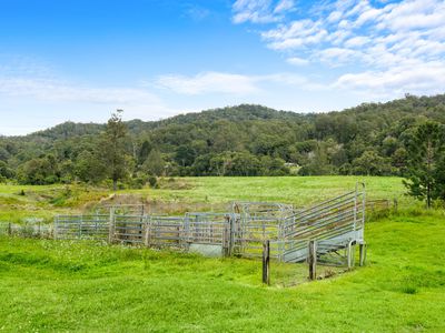 1855 Nimbin Road, Coffee Camp
