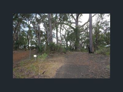 24 Flora Grove, Molloy Island