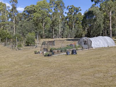 88 Altmans Road, Tolmie