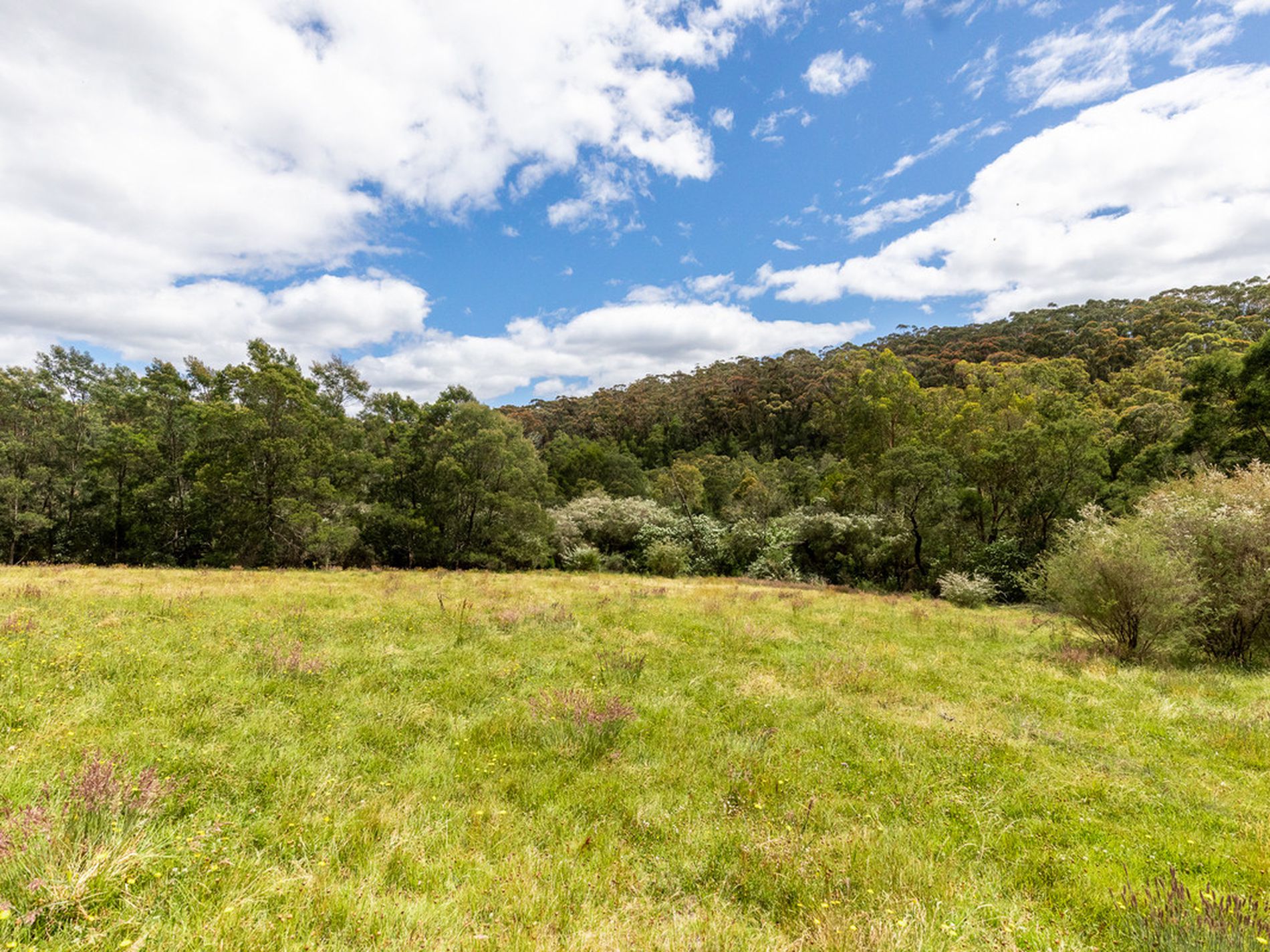 Lot 14 McCausland Road, Lochiel Sails Real Estate Merimbula