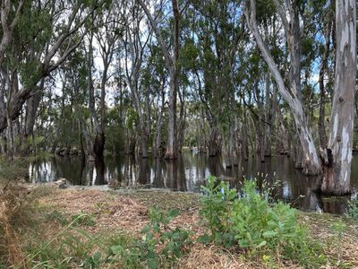 11 Armstrong Drive , Barham
