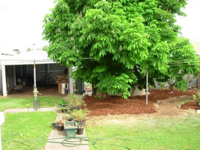 25 Umpherston Street, Mount Gambier