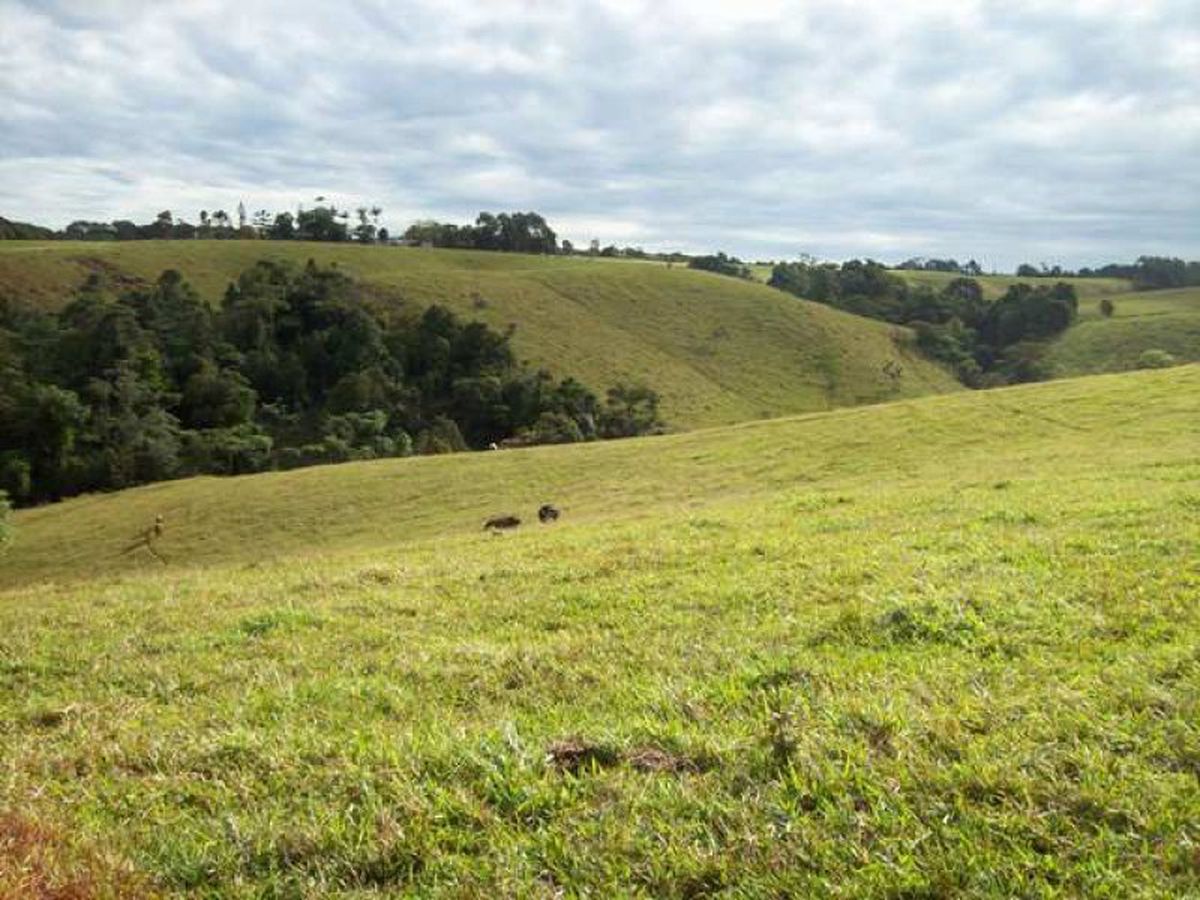 Pei Road, Malanda