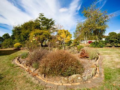 1 Pine Tree Avenue, Grindelwald