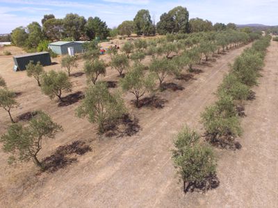 Heathcote